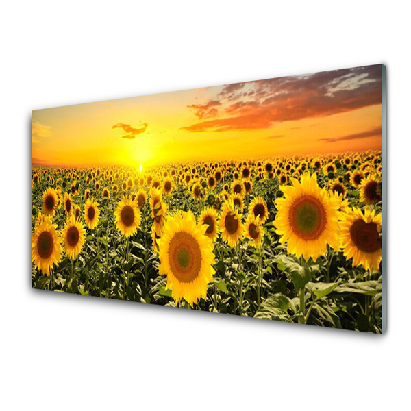 Billede glas Sunflowers