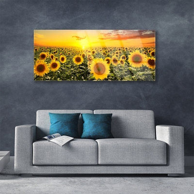 Billede glas Sunflowers