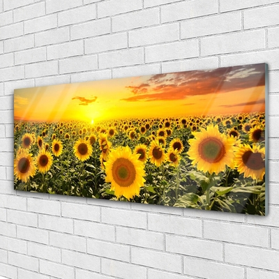 Billede glas Sunflowers