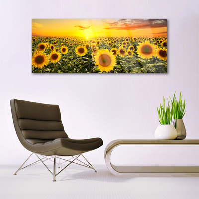 Billede glas Sunflowers