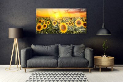 Billede glas Sunflowers