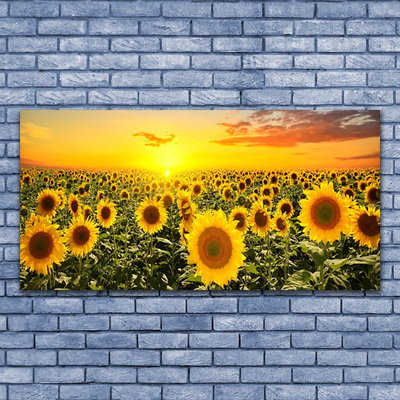 Billede glas Sunflowers