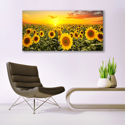 Billede glas Sunflowers