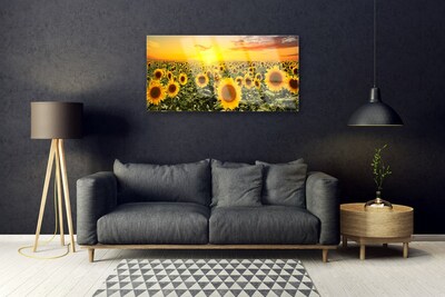 Billede glas Sunflowers