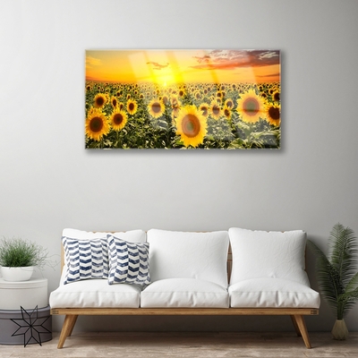 Billede glas Sunflowers