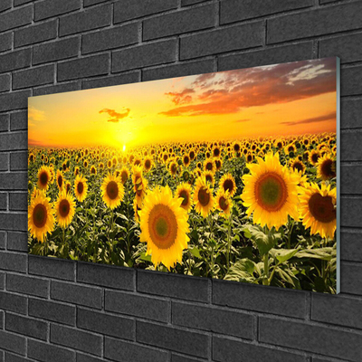 Billede glas Sunflowers