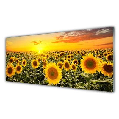 Billede glas Sunflowers