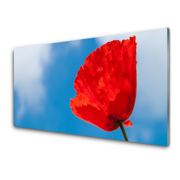 Glasfoto Wall Tulip