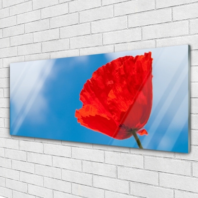 Glasfoto Wall Tulip