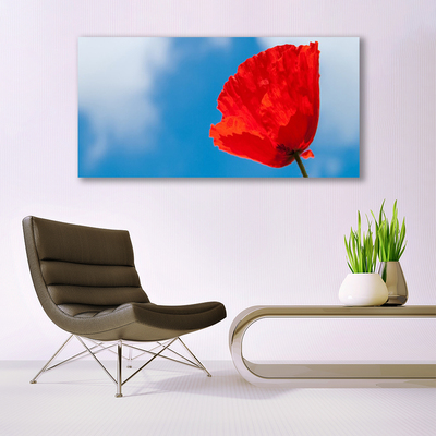 Glasfoto Wall Tulip