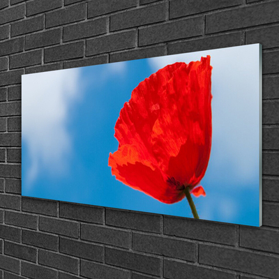 Glasfoto Wall Tulip