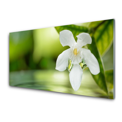 Billede glas Flower Leaves