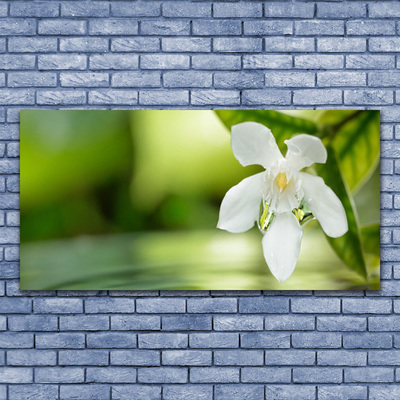 Billede glas Flower Leaves