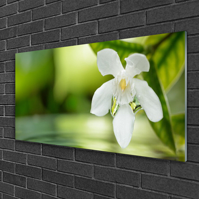 Billede glas Flower Leaves