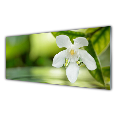 Billede glas Flower Leaves