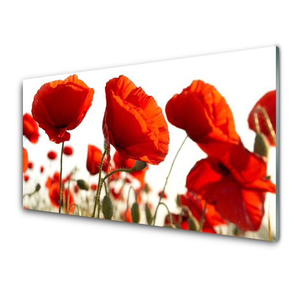 Glas billede Tulipaner Blomster