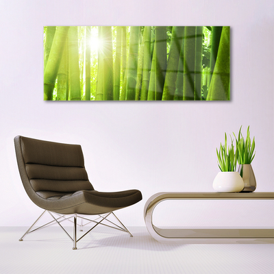 Billede i glas Bamboo Plant