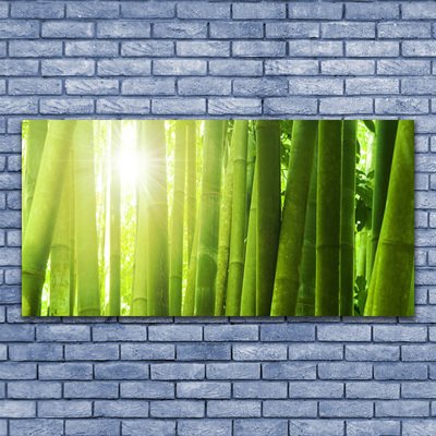 Billede i glas Bamboo Plant