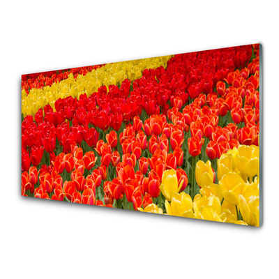 Glasfoto Tulipaner Blomster