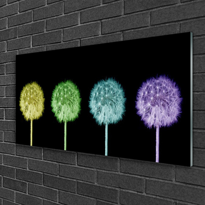 Billede glas Dandelion Plant