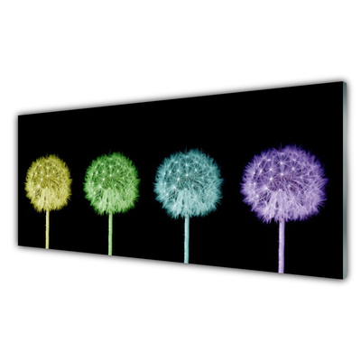 Billede glas Dandelion Plant