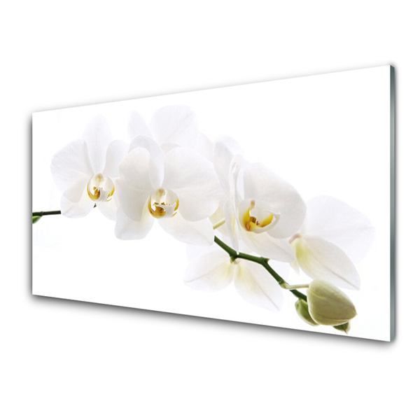 Glasbillede Flower Orchid