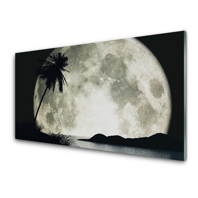 Glasbillede Night Moon Palm Landscape