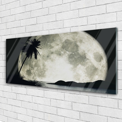 Glasbillede Night Moon Palm Landscape