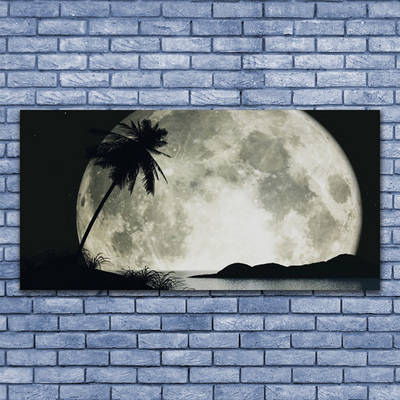 Glasbillede Night Moon Palm Landscape