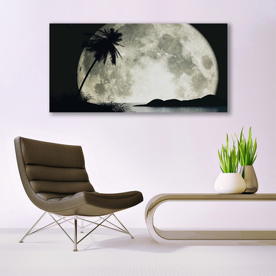 Glasbillede Night Moon Palm Landscape