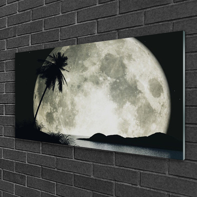 Glasbillede Night Moon Palm Landscape