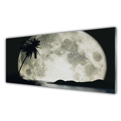 Glasbillede Night Moon Palm Landscape