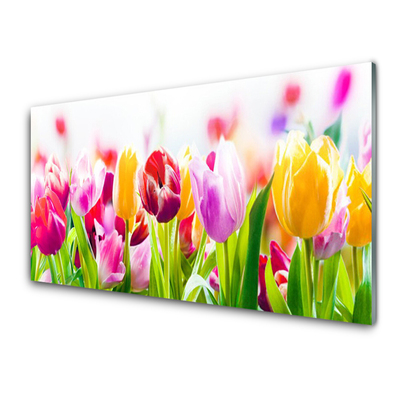 Glas billede Tulipaner Blomster