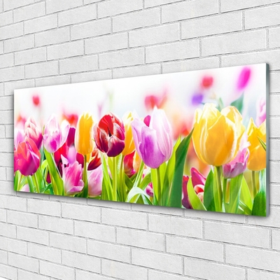 Glas billede Tulipaner Blomster