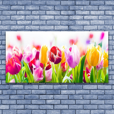 Glas billede Tulipaner Blomster