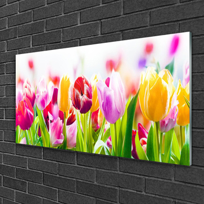 Glas billede Tulipaner Blomster