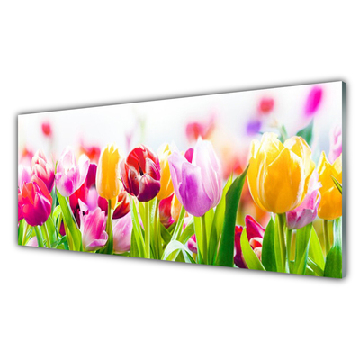 Glas billede Tulipaner Blomster