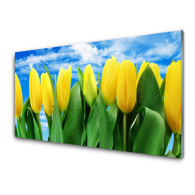 Glasfoto Tulipaner Blomst