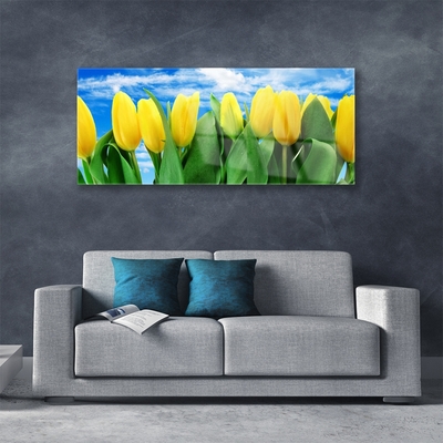 Glasfoto Tulipaner Blomst