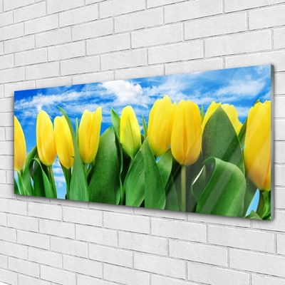 Glasfoto Tulipaner Blomst