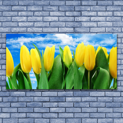 Glasfoto Tulipaner Blomst