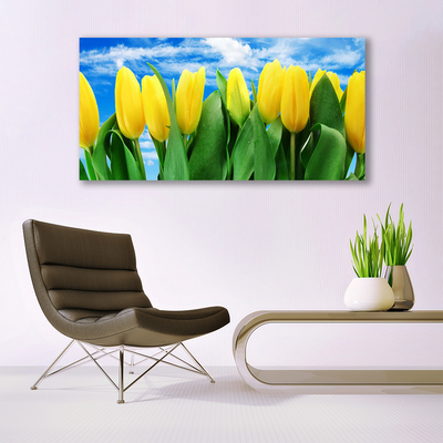 Glasfoto Tulipaner Blomst