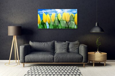 Glasfoto Tulipaner Blomst