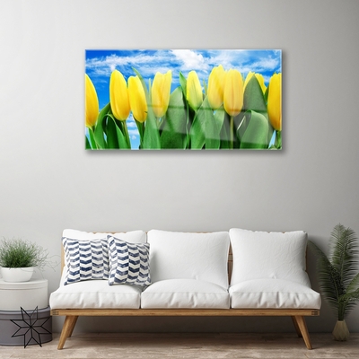 Glasfoto Tulipaner Blomst