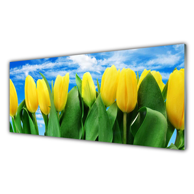 Glasfoto Tulipaner Blomst