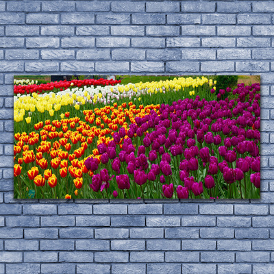 Glasbillede Tulipaner Blomster