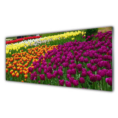 Glasbillede Tulipaner Blomster