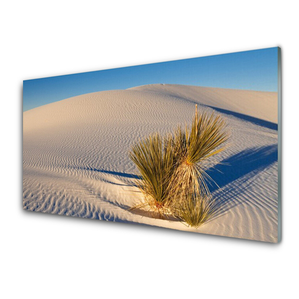 Billede på glas Ørkenlandskab Sand