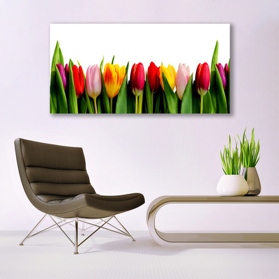 Glasbillede Tulipaner Plante