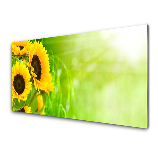 Billede glas Sunflowers Plant